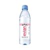 Evian Still Water in 500 ml x 12