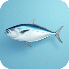Seafood