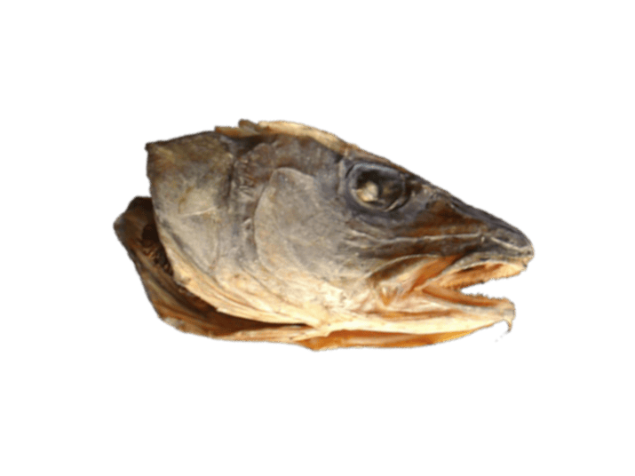 Stockfish head